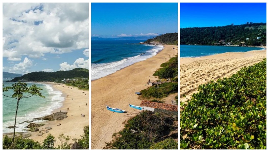 Conheça as 15 praias de SC premiadas com Bandeira Azul; FOTOS