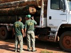 Força Nacional reforça operação contra desmatamento em MT