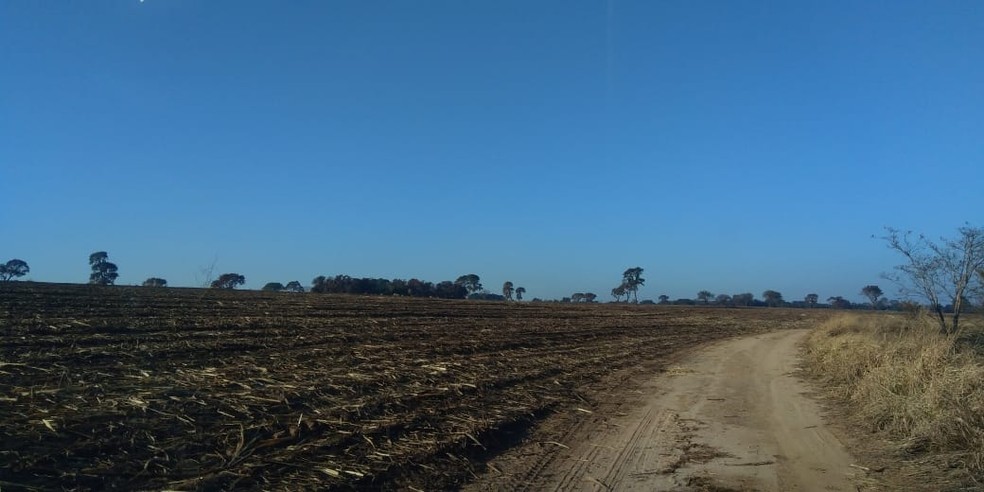 4,72 hectares foram consumidos pelo fogo, em Tarabai — Foto: Polícia Militar Ambiental 