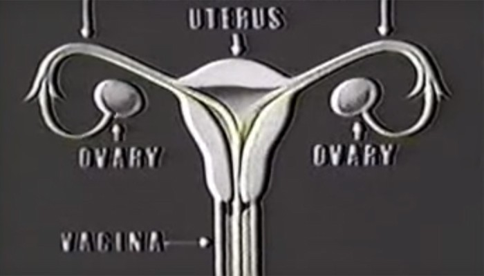 a história da menstruação (Foto: Reprodução/Youtube)