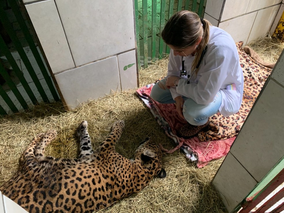 Nina tem 25 anos  — Foto: Prefeitura de Brusque/ Divulgação