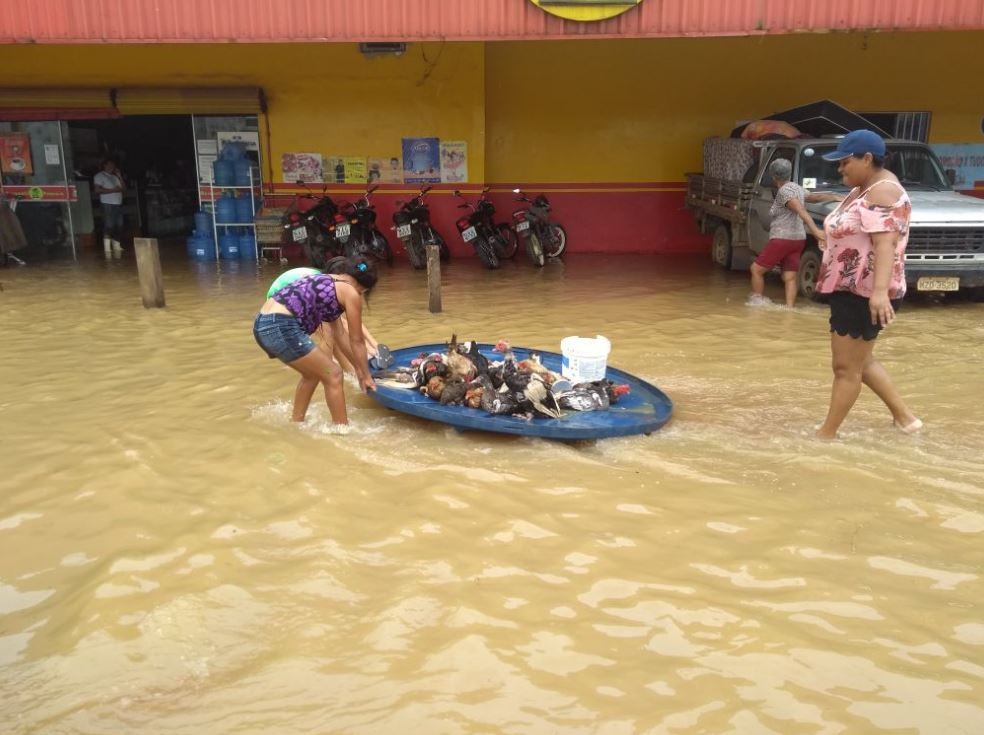 30 bairros foram atingidos e 50 localidades afetadas durante enxurrada em Rio Branco (Foto: Alan Dinarte/Arquivo pessoal )