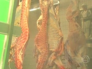 Frigorífico de bovinos de Mato Grosso do Sul (Foto: Reprodução/TV Morena)