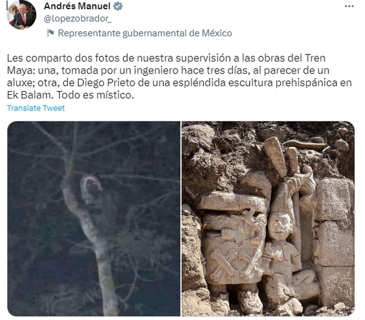 Blanco de las protestas, el presidente de México publica una foto antigua que afirma ser un duende en el controvertido sitio de construcción del tren |  Mundo