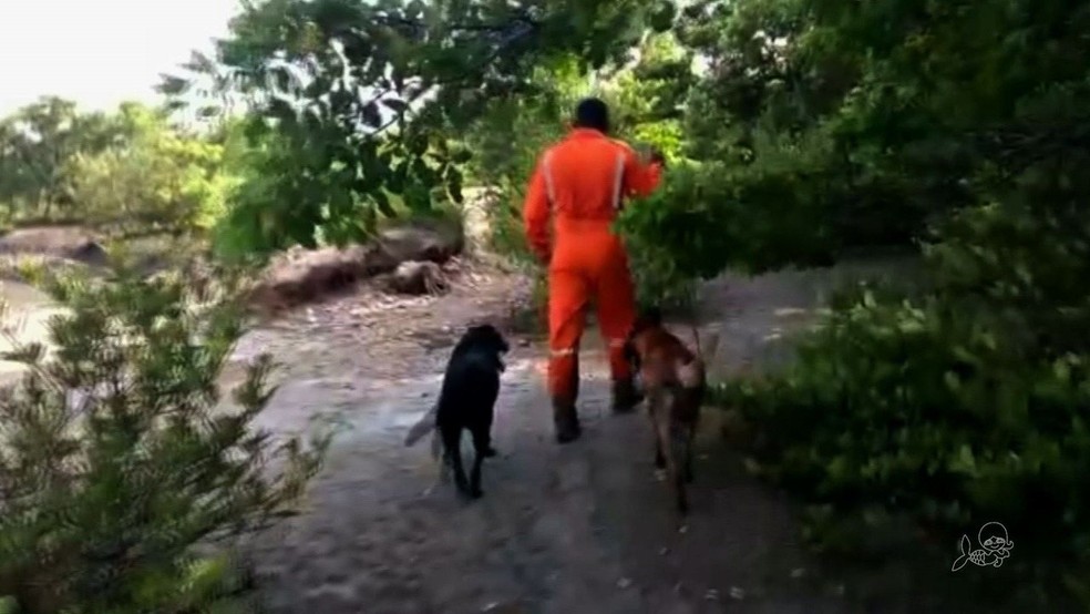 Сильный запах в мангровых рощах затрудняет обнюхивание собак, говорит полиция - Фото: TV Verdes Mares / Reproduction