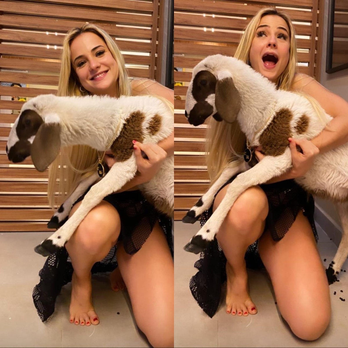 Gabi Martins tenta fazer foto com Célia, a cabra, mas algo sai errado (Foto: Reprodução/Instagram)