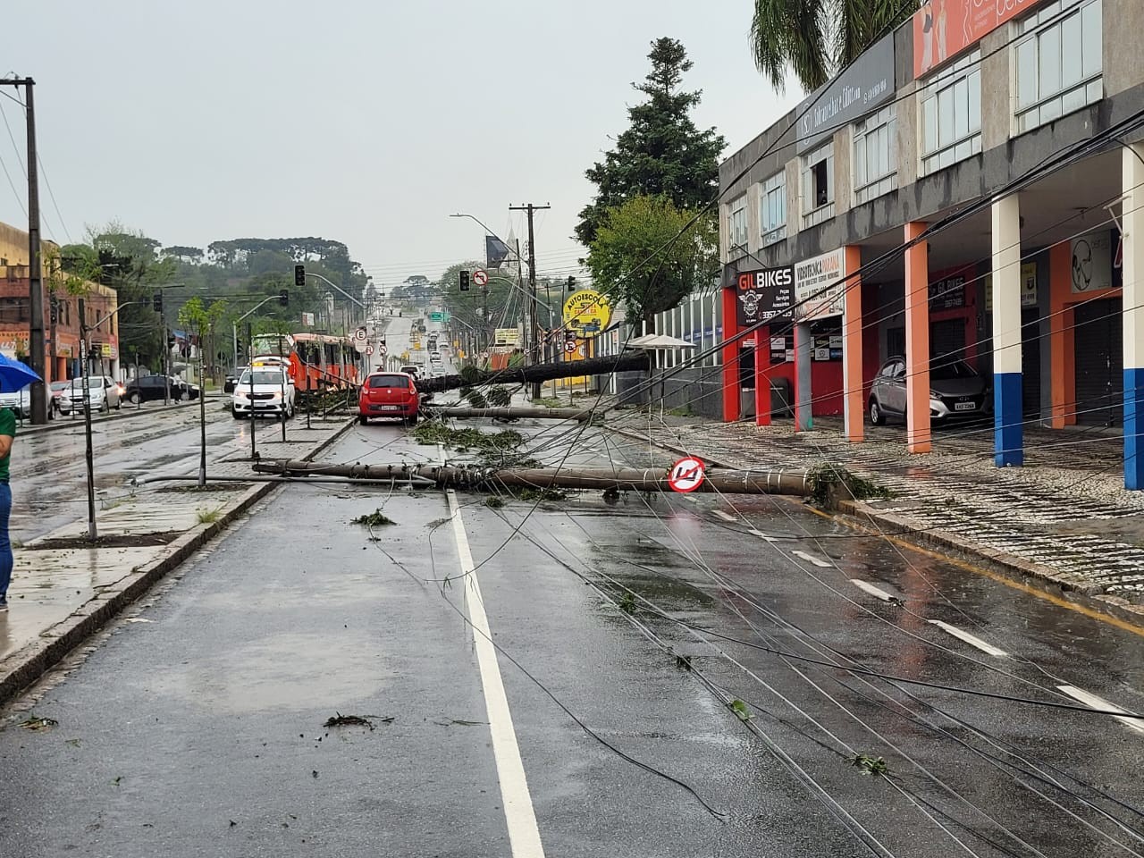 Temporal derruba árvores, danifica residências e deixa bairros de Curitiba sem água e energia; veja regiões afetadas