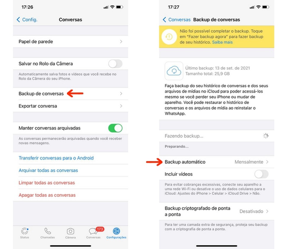 Configurações de backup automático do WhatsApp no iOS  — Foto: Reprodução/Raquel Freire