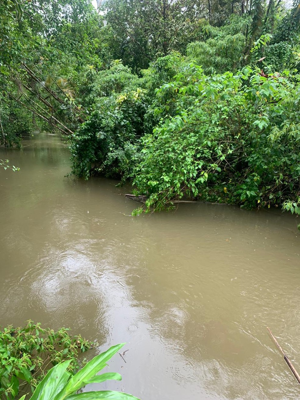 Corpo da vítima morta pelo marido foi encontrado presa em galhos à margem de um rio em Bertioga, próximo a rodovia Manoel Hipolito do Rego — Foto: Divulgação/Polícia Civil