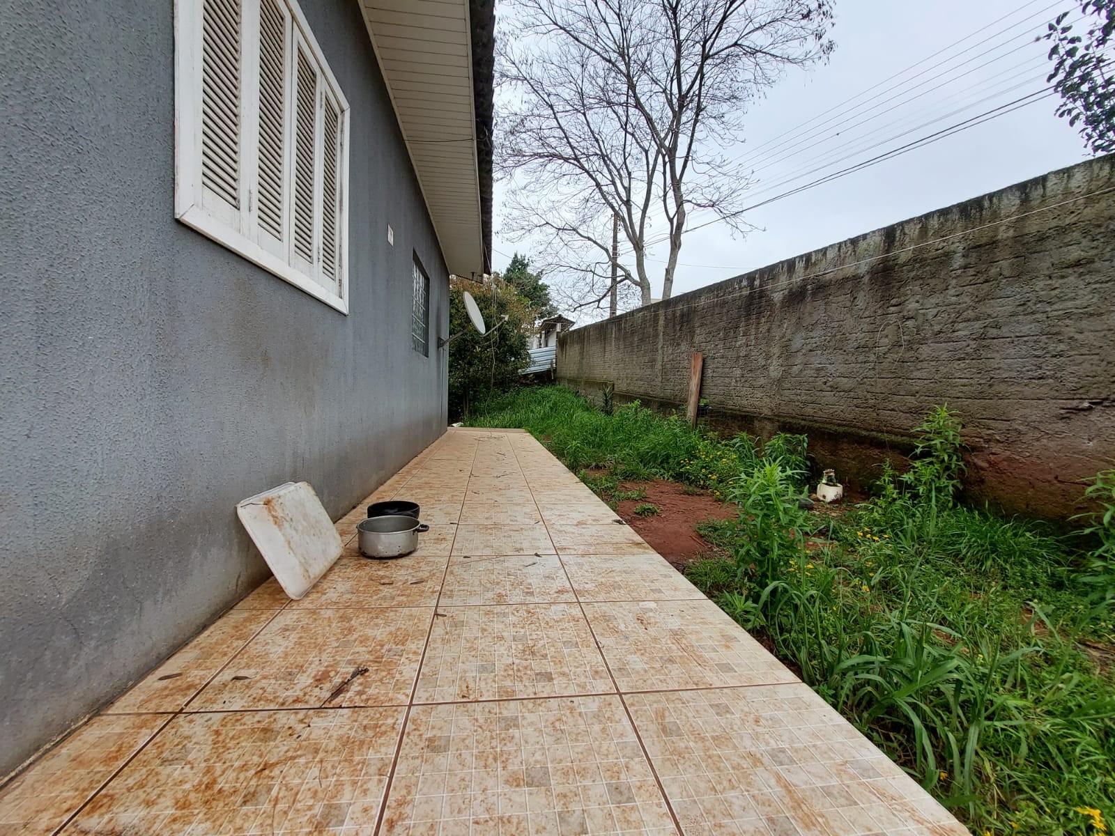 Homem é preso por matar dois cachorros da vizinha a tiros em Passo Fundo, diz polícia