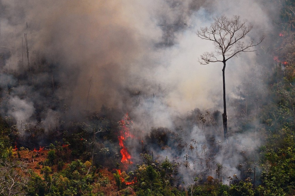 Fumaça das queimadas na Amazônia causam problemas respiratórios — Foto: Carl de Souza/AFP