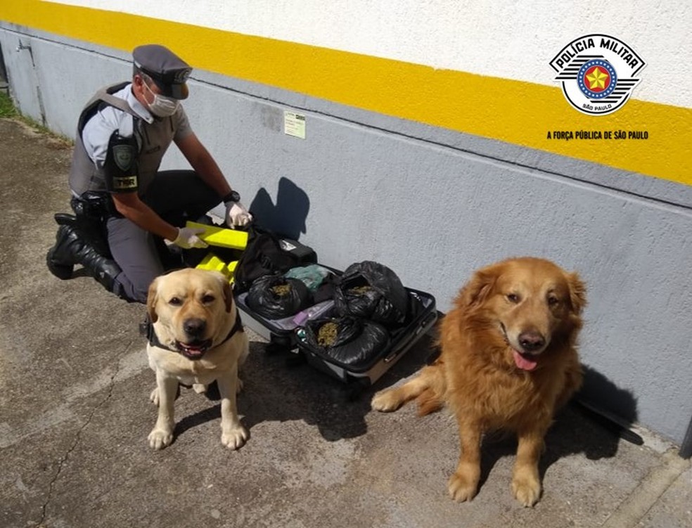 Passageiras de &ocirc;nibus s&atilde;o presas por tr&aacute;fico de drogas na Castello Branco &mdash; Foto: Divulga&ccedil;&atilde;o/Pol&iacute;cia Militar