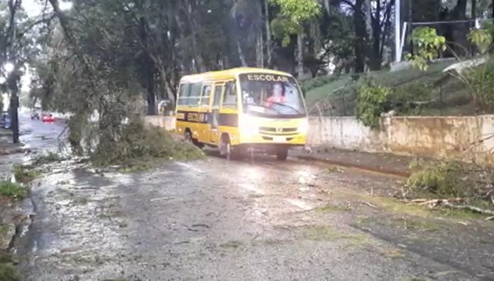 Granizo e vento derrubam árvores em bairros de Poços de Caldas — Foto: Reprodução/EPTV 