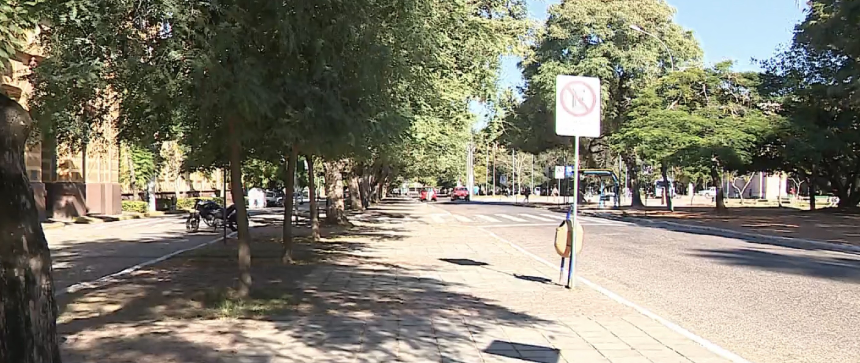 Artesãos do Brique da Redenção de Porto Alegre enfrentam dificuldades com o fechamento da feira devido à pandemia