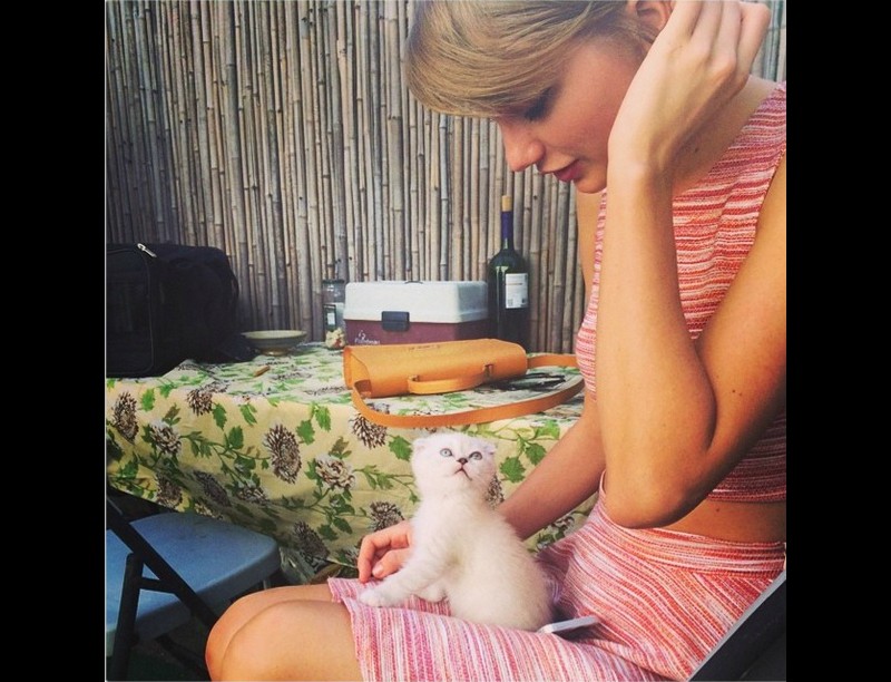 Taylor Swift e sua nova gata, Olivia Benson. (Foto: Instagram)