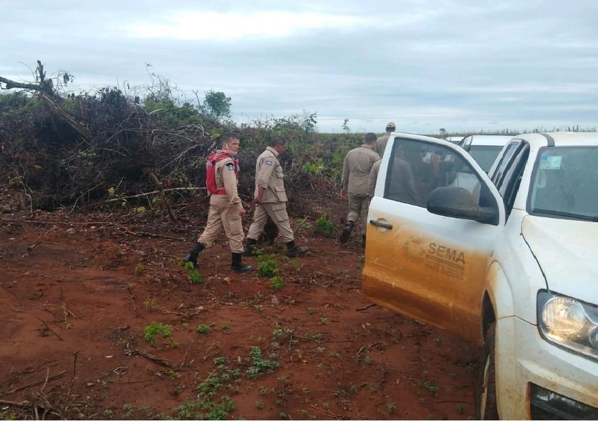 Fiscalização aplica R 4,2 milhões em multas por desmatamento em região de assentamento em MT