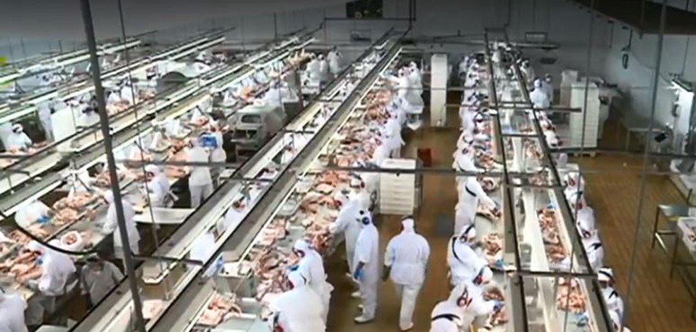Embarques de carne de porco no ano passado totalizaram 411,4 mil toneladas — Foto: Reprodução/ NSC TV