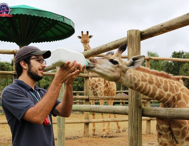 zoo (Foto: Divulgação)