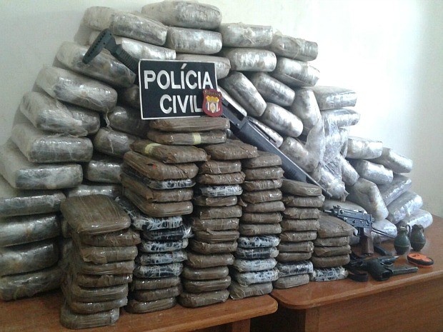 Droga foi apreendida em área de floresta no interior  (Foto: Divulgação/Polícia Civil)