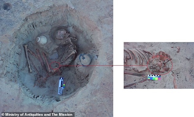 Esqueleto de mulher grávida enterrado há 3.700 anos (Foto: Divulgação/Conselho Supremo de Antiguidades do Egito)