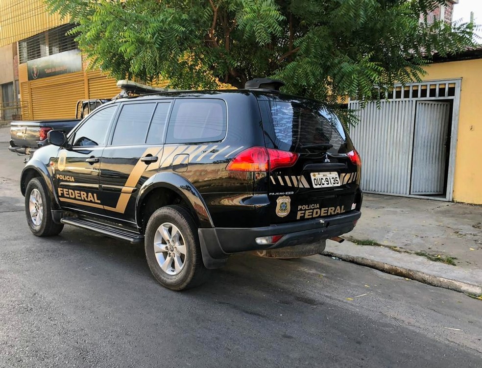 PF investiga grupo suspeito de usar documentos falsos de servidores estaduais para obter empréstimos no Piauí — Foto: Polícia Federal