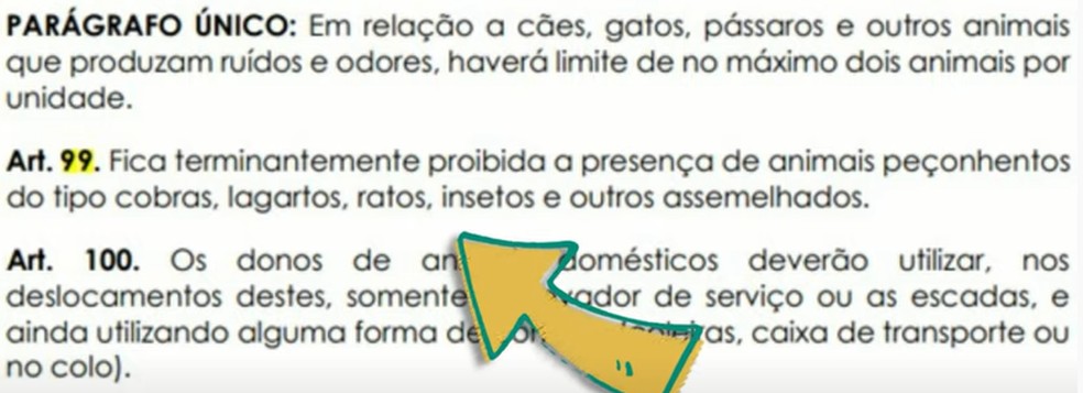 Cláusula do condomínio proíbe a criação de animais peçonhentos — Foto: Reprodução