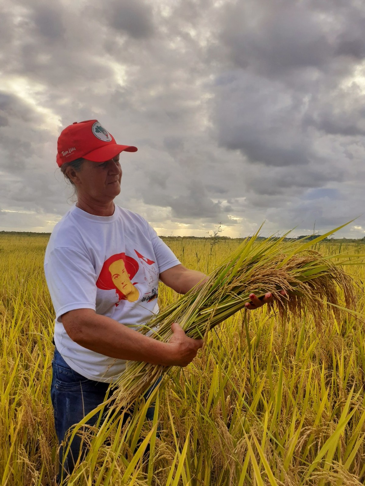 Cooperativas do MST atingem meta de captar R$ 17,5 milhões no mercado financeiro para agricultura familiar