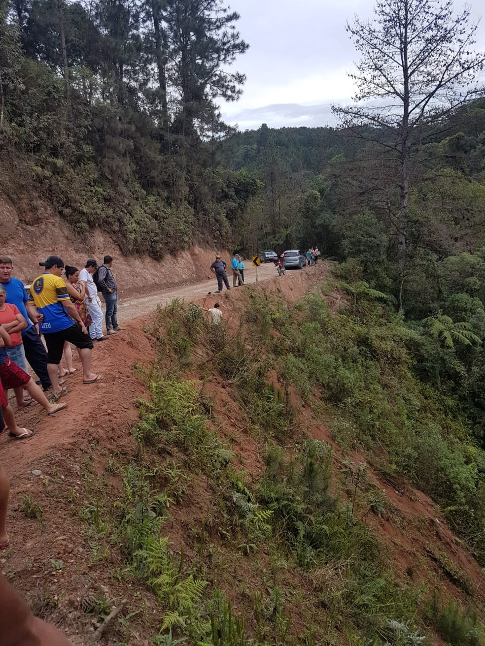 Caminhonete cai em ribanceira de 80 metros na PR-092, na Região de Curitiba — Foto: Polícia Rodoviária Estadual/Divulgação