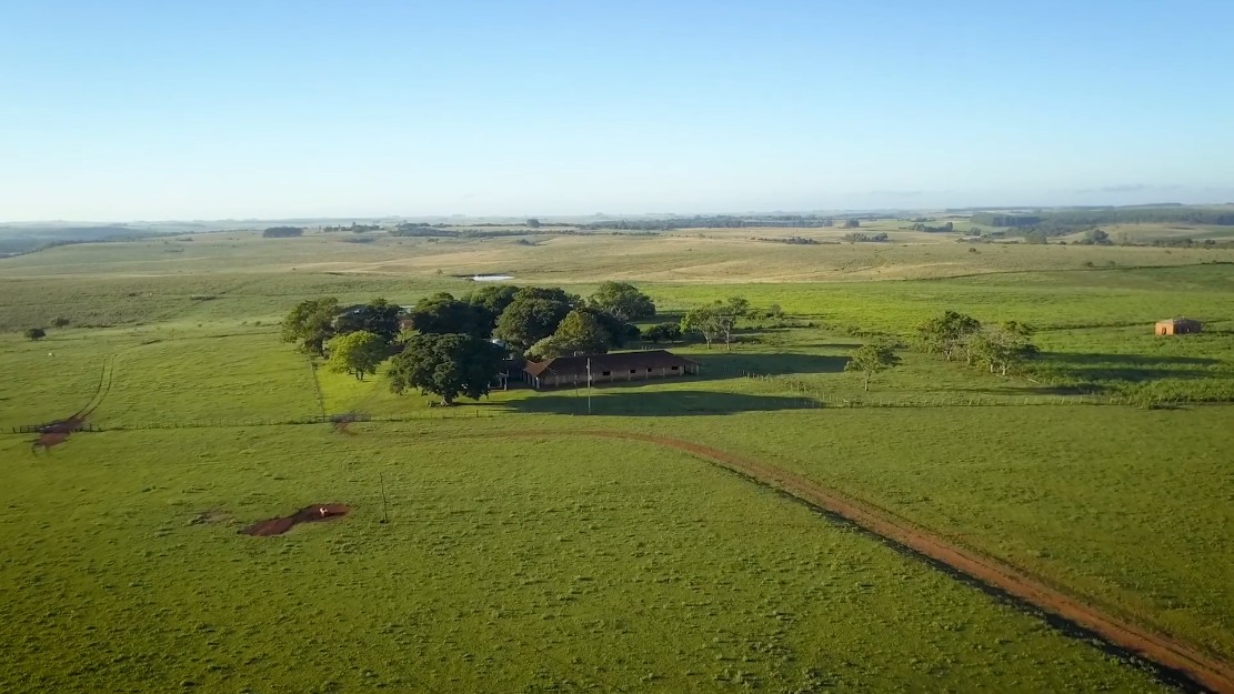 Fazendas de ex-presidente João Goulart vão a leilão por mais de R$ 250 milhões no RS; veja fotos