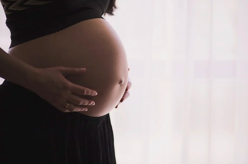 Imagem de arquivo mostra mulher grávida — Foto: Pixabay