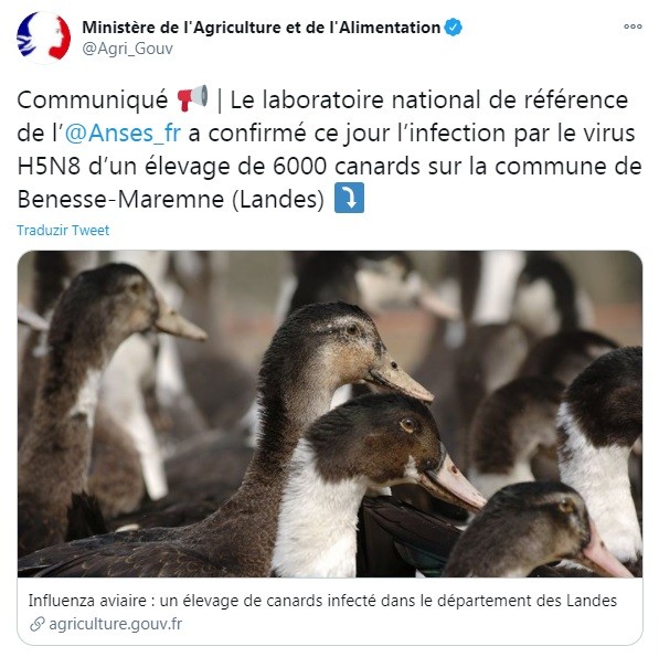franca-patos-abate (Foto: Reprodução/Twitter)