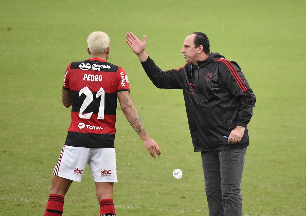 Rog&eacute;rio Ceni comemora com Pedro o gol da vit&oacute;ria do Flamengo sobre o Palmeiras &mdash; Foto: Andr&eacute; Dur&atilde;o