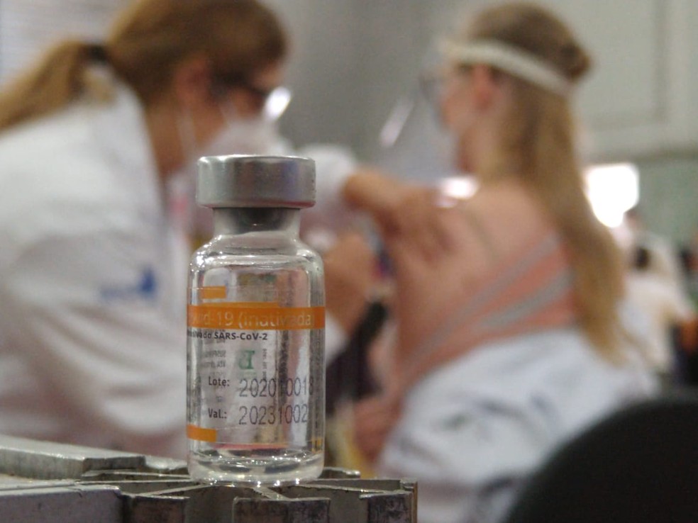 Vacina do Butantan contra a Covid-19 foi a primeira a ser distribuída no Brasil — Foto: Everson Moreira/RPC