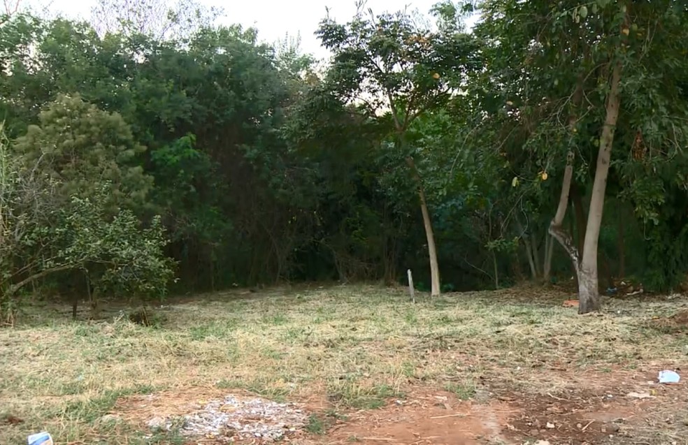 Homem disse aos policiais que teria encontrado bebê em matagal de Limeira (Foto: Reprodução/EPTV)