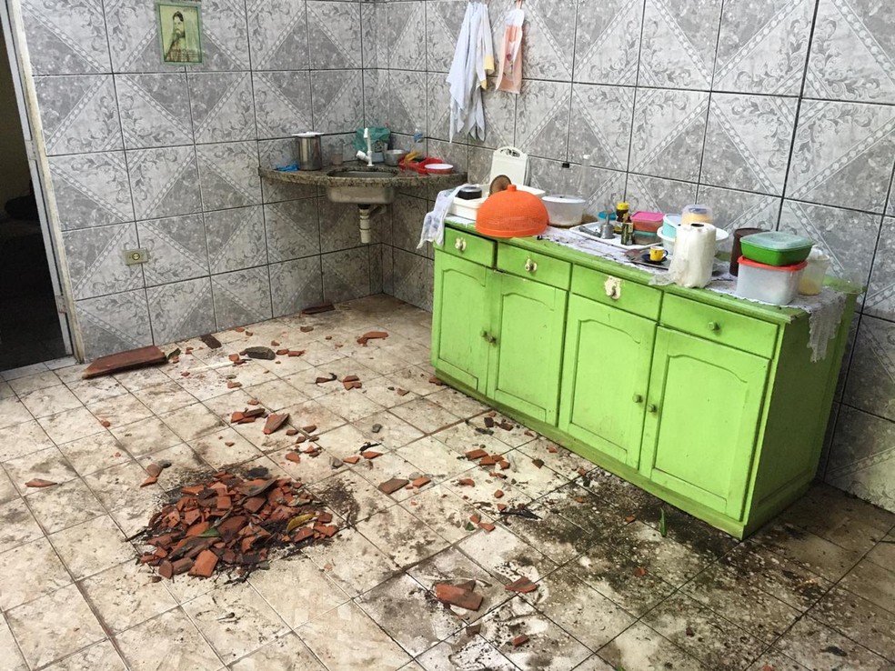 Árvore caiu na cozinha da casa de aposentada em Teresina — Foto: Murilo Lucena/TV Clube