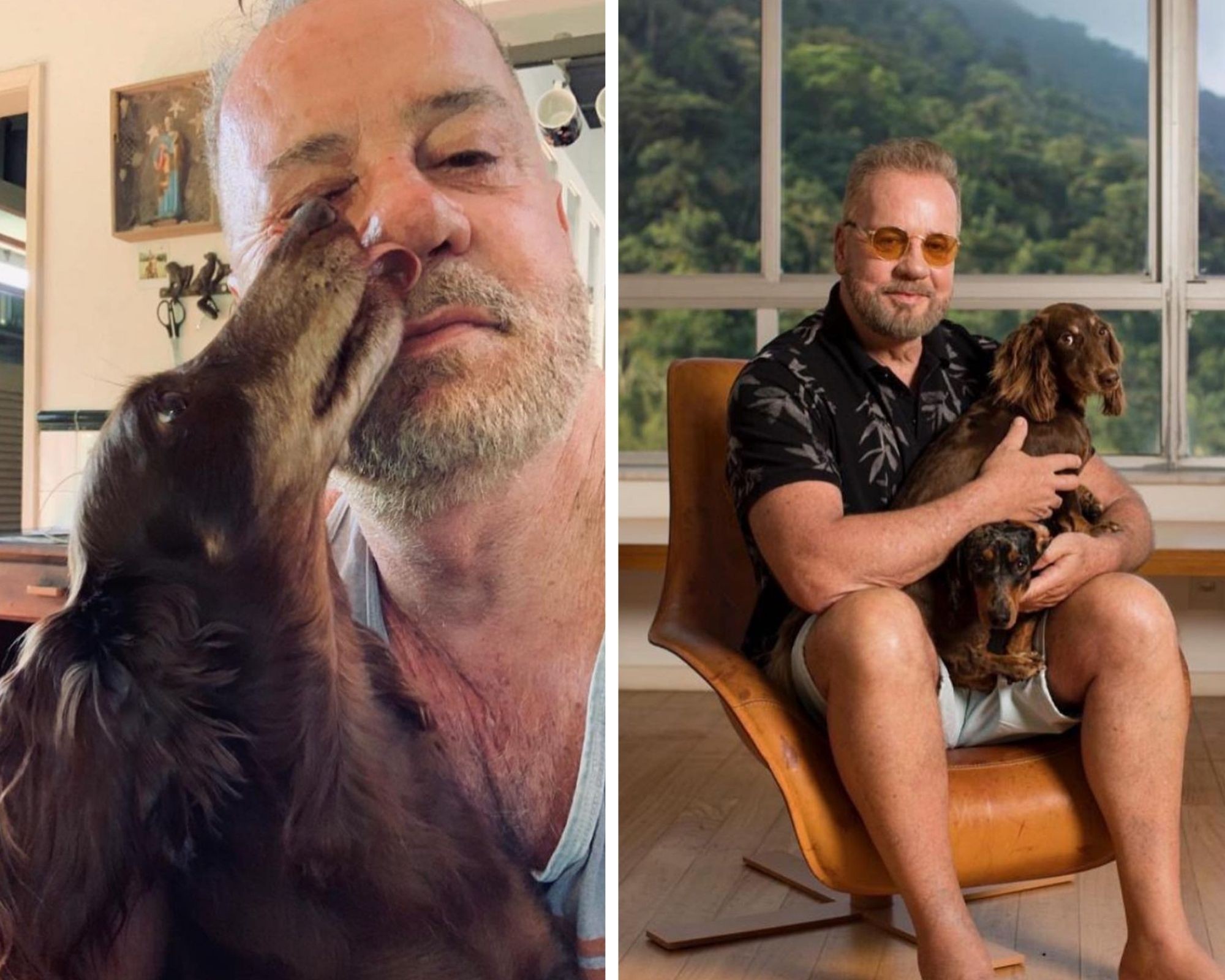 Luiz Fernando Guimarães lamentou a morte de cão (Foto: Reprodução/Instagram)