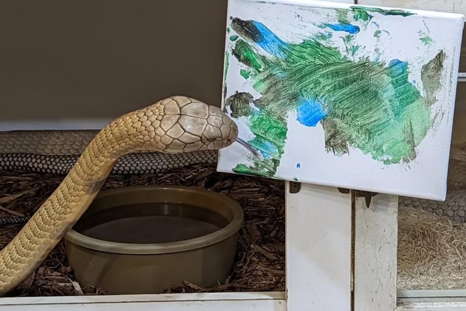 Uma foto de uma das cobras do Kentucky Reptile Zoo com sua pintura: as artistas são um grande sucesso entre os clientes