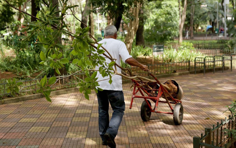 SineBahia tem vaga dispon&iacute;vel para jardineiro nesta quinta-feira (20) &mdash; Foto: Fernando Pilatos/TV Globo