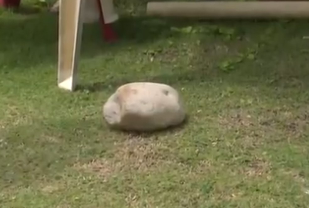 Pedra que foi arremessada na v&iacute;tima &mdash; Foto: TV Santa Cruz