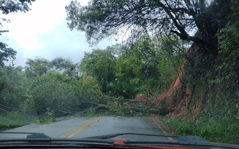 Barreiras e árvores caem e interditam BR-354, em Pouso Alto (MG) — Foto: Redes sociais