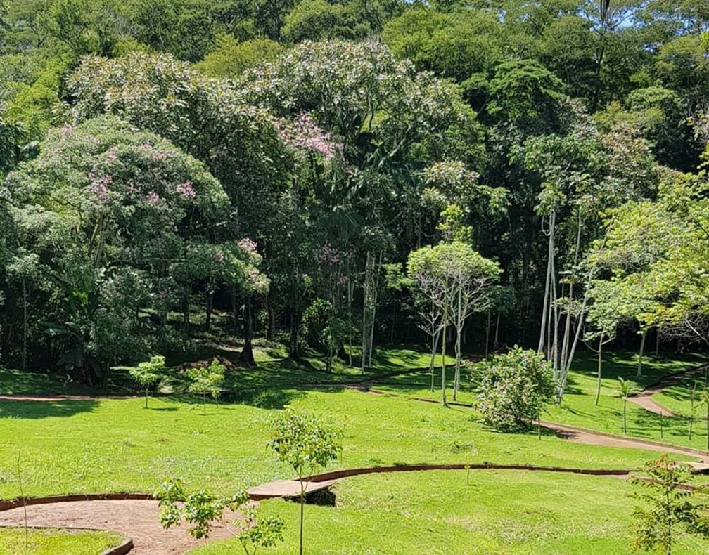 Autoridades destacam a importância da abertura do Jardim ...