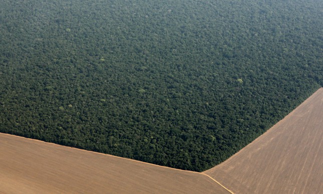 Plantação de soja toma um pedaço da Amazônia, no Mato Grosso