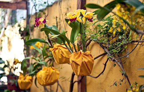 Quer deixar a sua festa ou o seu almoço no jardim ainda mais elegante? Embale vários vasos de orquídeas em guardanapos de tecido grandes