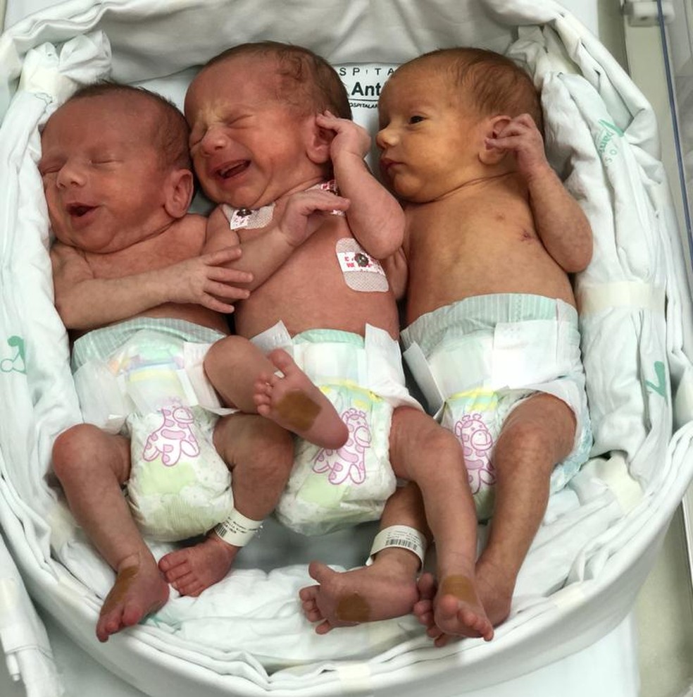 Trigêmeos Davi, Gael e Thomas receberam alta nesta sexta-feira (4) — Foto: Hospital Santo Antonio/Divulgação