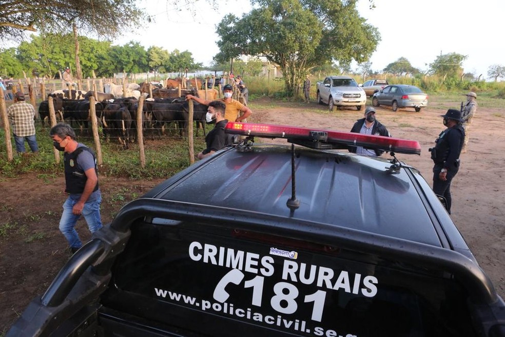 Operação da Dercra em Nossa Senhora da Glória — Foto: Divulgação/SSP/SE