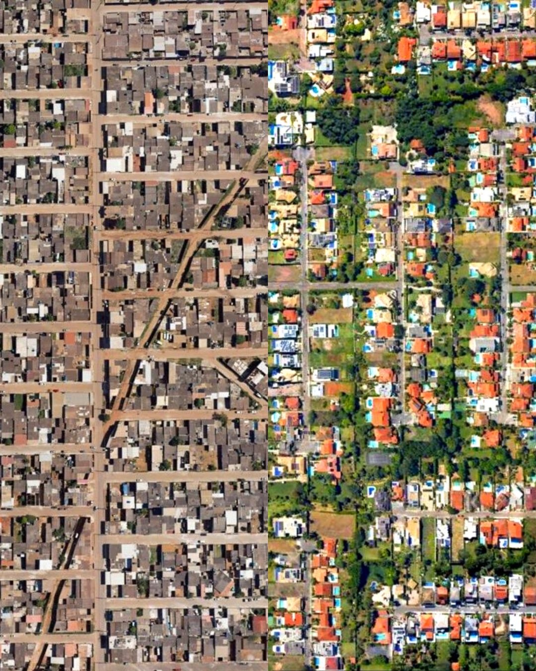 'Racismo Ambiental': foto comparando quantidade de árvores em duas regiões de Brasília viraliza nas redes sociais