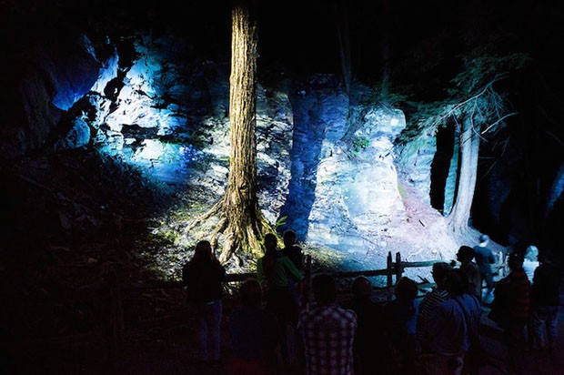 Show de luzes em parque do Canadá (Foto: Divulgação)