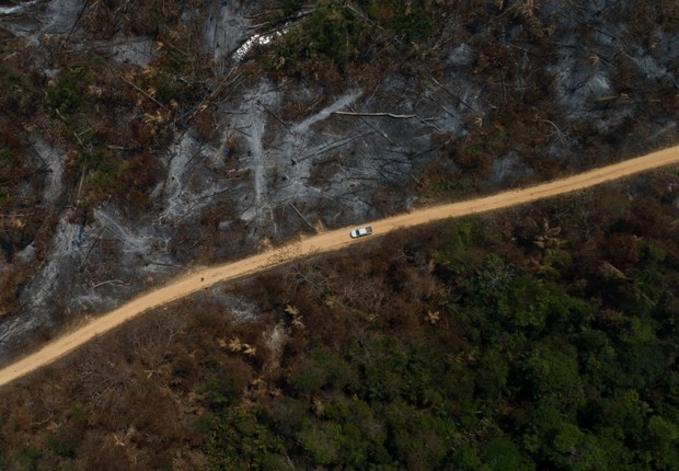 Natura lança plataforma que monitora desmatamento em tempo real na Amazonia (Foto: Nur Photo / Getty Images)