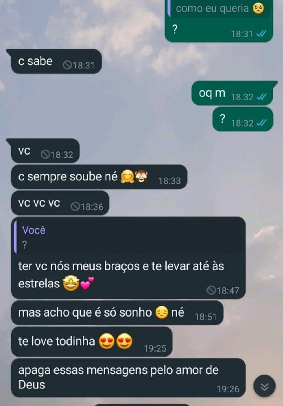 Nas mensagens, suspeito fazia elogios e convites à mulher repetidas vezes e insistentemente — Foto: Reprodução/WhatsApp