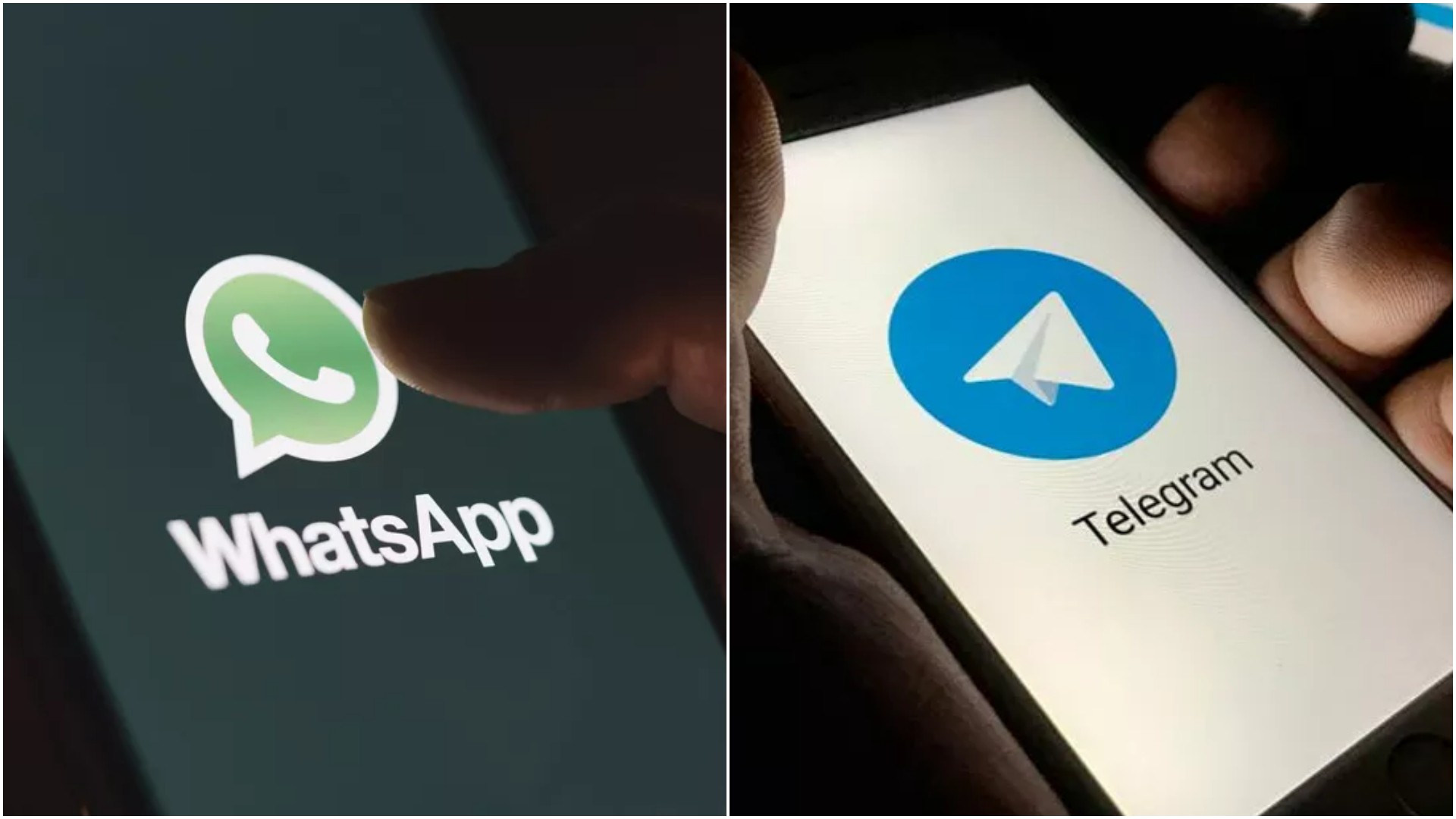 WhatsApp e Telegram: saiba como se inscrever nos grupos de notícias do g1 Zona da Mata 